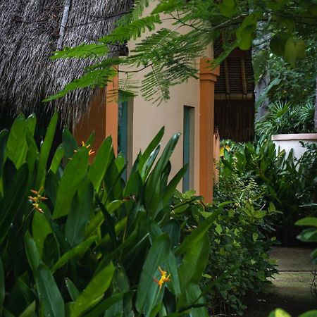 Kuda Laut Bungalows & Diving Pemuteran Εξωτερικό φωτογραφία